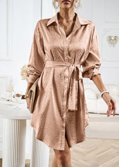 Apricot Lapel Cardigan Leopard Print Shirt Dress