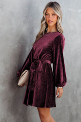 Tie Waist Crinkle Velvet Dress