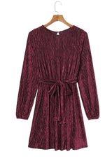 Tie Waist Crinkle Velvet Dress