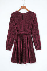 Tie Waist Crinkle Velvet Dress