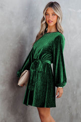 Tie Waist Crinkle Velvet Dress