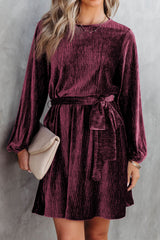 Tie Waist Crinkle Velvet Dress